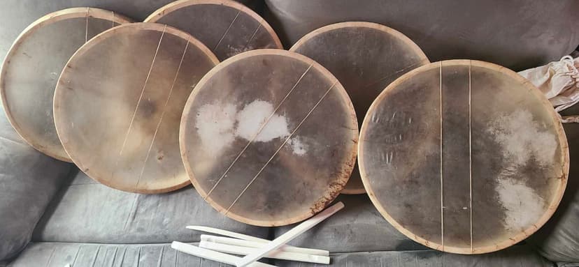 Community garden with Indigenous plants